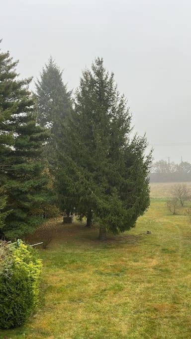 Sehr Attraktive Ferienwohnung Doberlug-Kirchhain Exterior foto